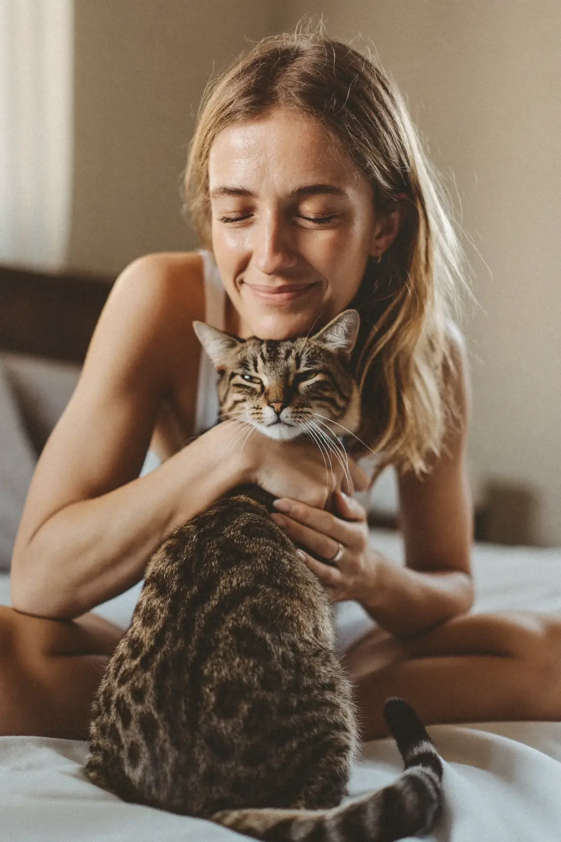 A cat pressing an affectionate head-butt against its owner's chin