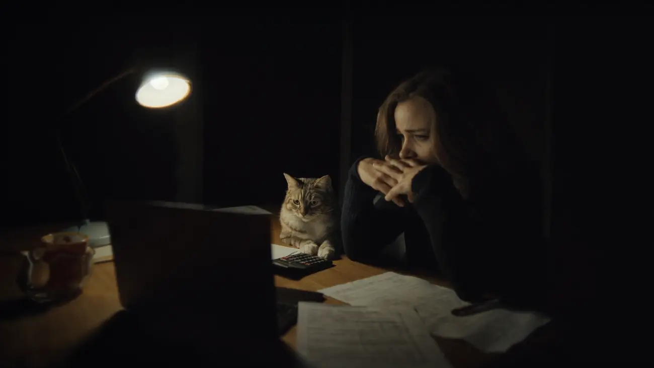 An owner at the kitchen table late at night with a veterinary estimate, her cat beside her